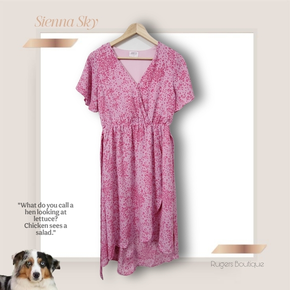 🌿Sienna Sky Women's Medium Pink Floral Faux Wrap Dress With Ties, Lined - Picture 11 of 12